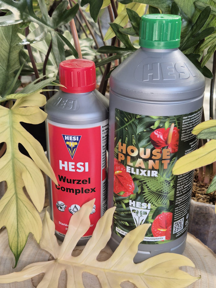 HESI House Plant Elexir 1 L