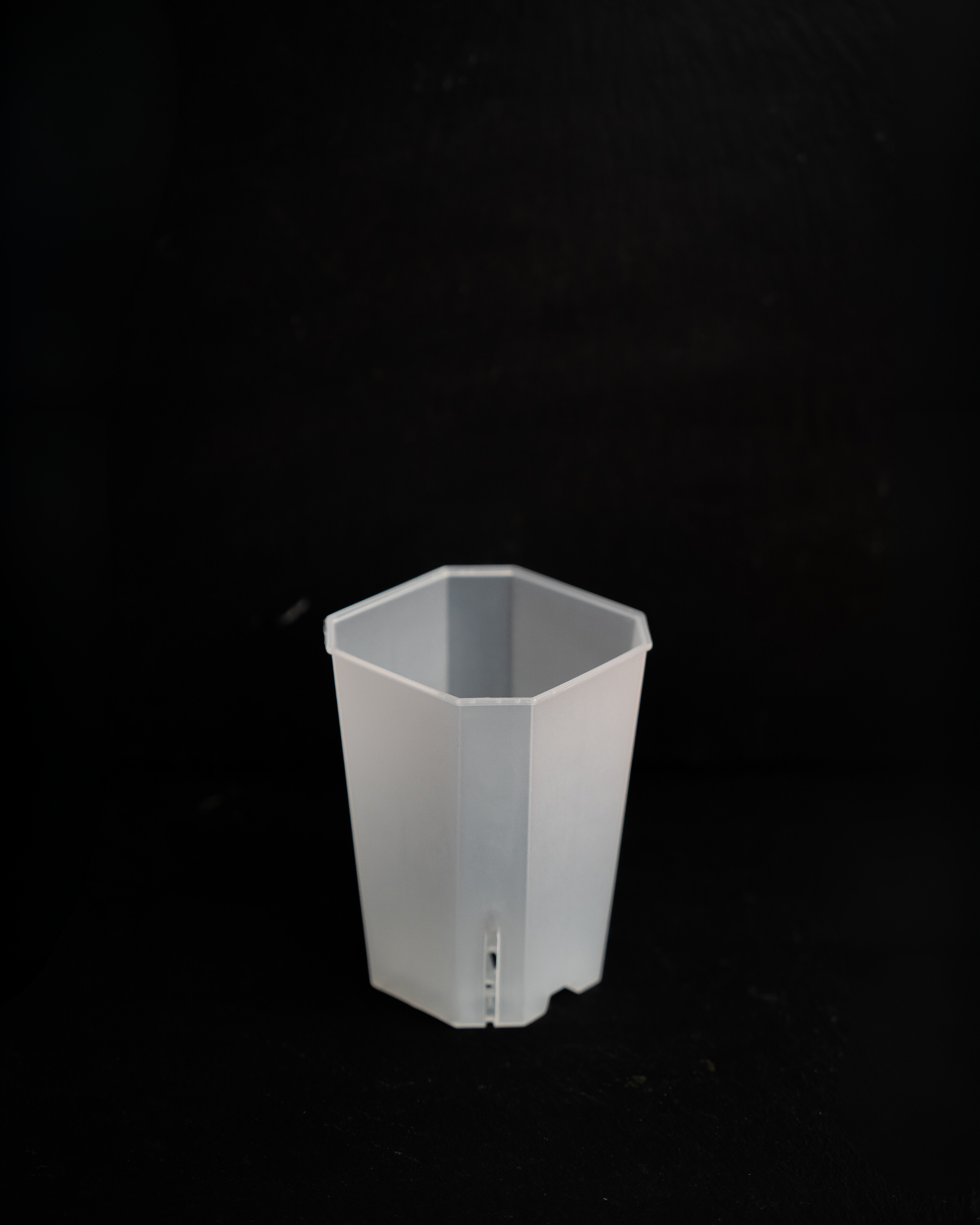 Transparente Pflanztöpfe