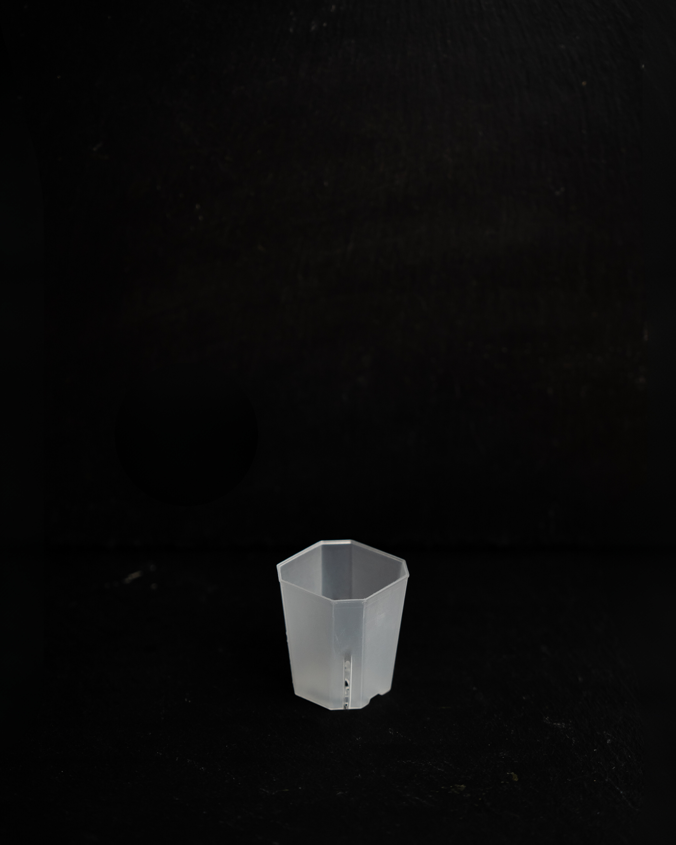 Transparente Pflanztöpfe