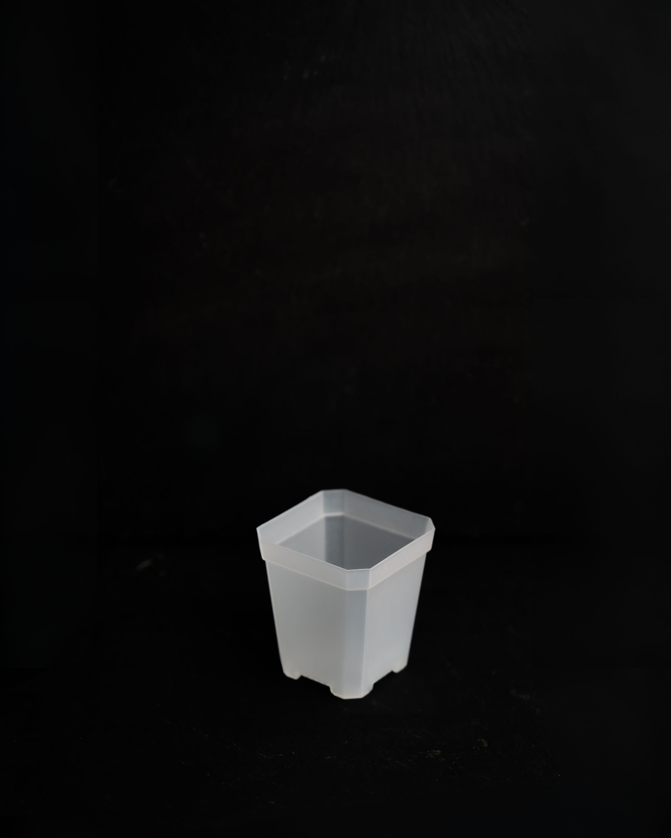 Transparente Pflanztöpfe