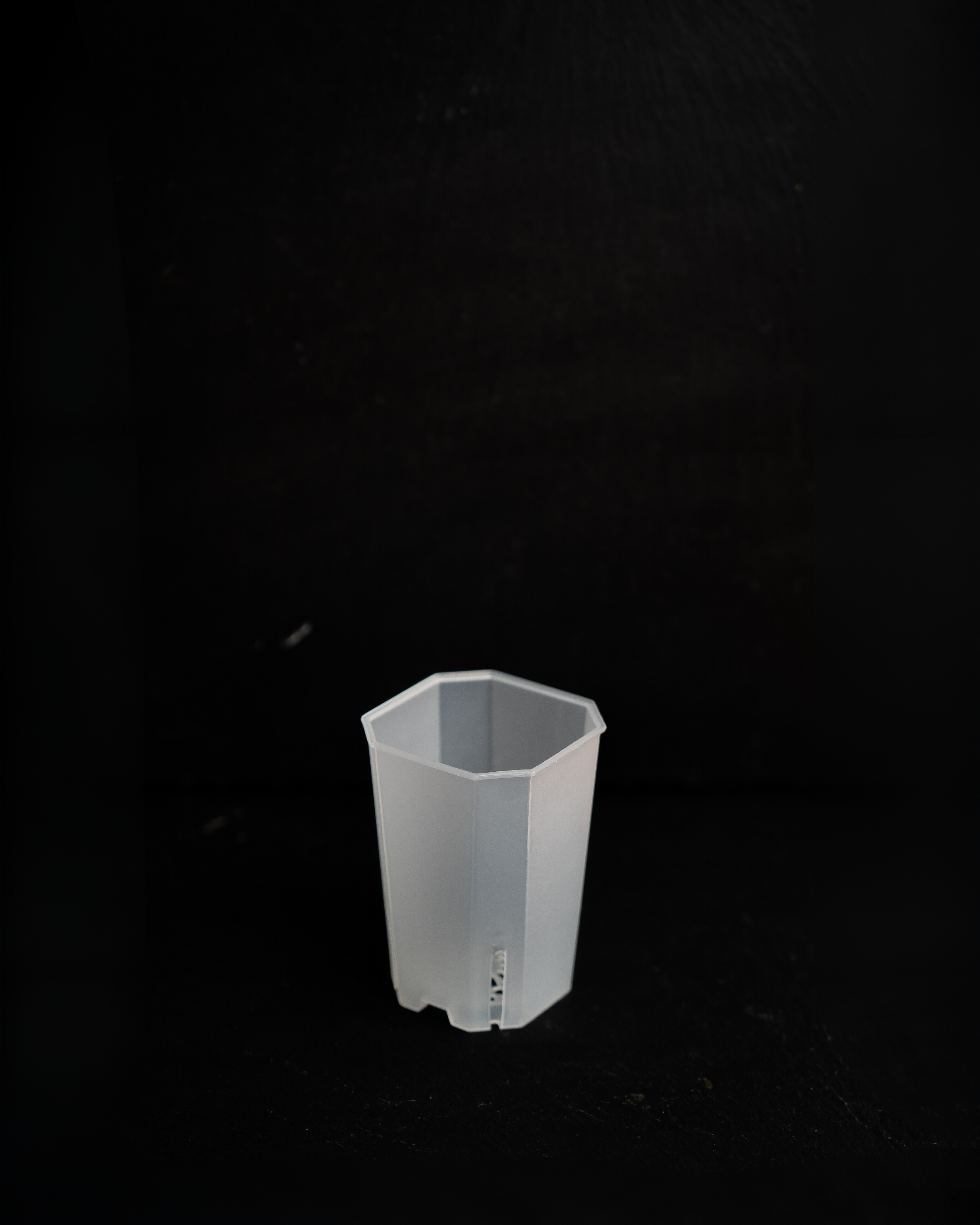 Transparente Pflanztöpfe